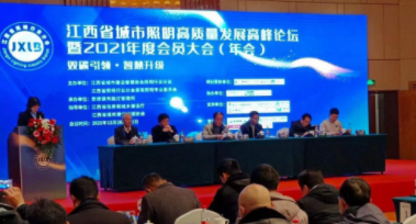 爱游戏官方站网页版-爱游戏online中国受邀参加江西省城市照明高质量发展高峰论坛